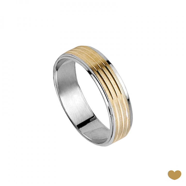 Aliança Passion Gold 19.2k - 6 mm