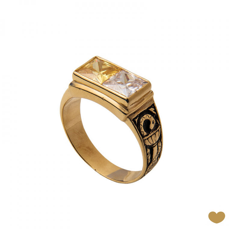 Anel de Curso Passion Gold 9k