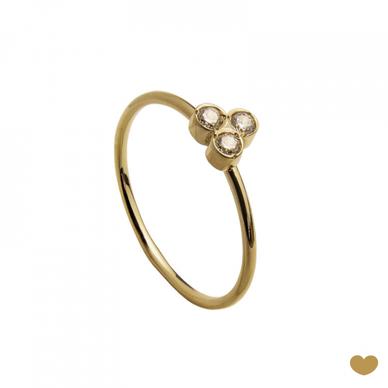 Anel Passion Gold 9k