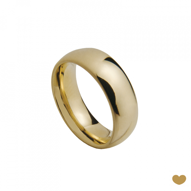 Aliança Passion Gold 19.2k - 6 mm