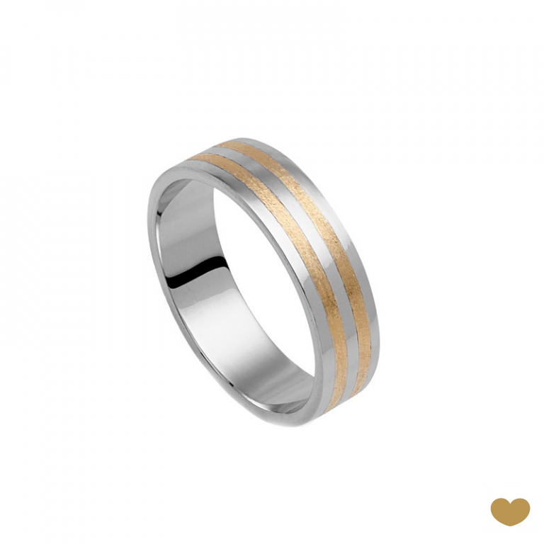Aliança Passion Gold 19.2k - 5.3 mm