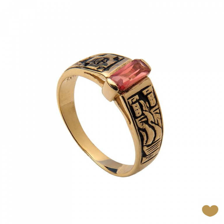 Anel de Curso Passion Gold 9k