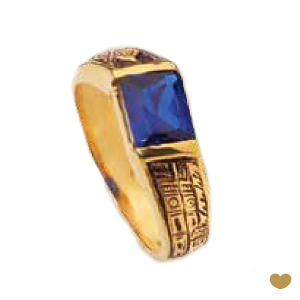 Anel de Curso Passion Gold 19k