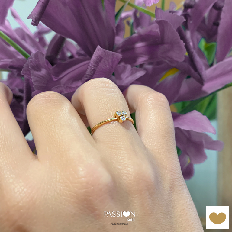 Anel Passion Gold 9k 2