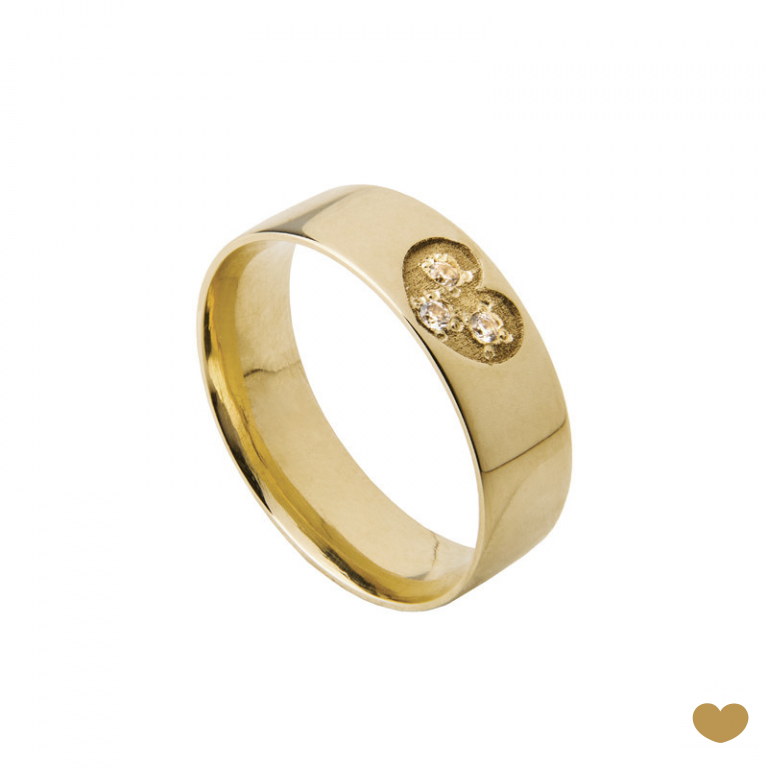 Aliança Passion Gold 9k - 6 mm
