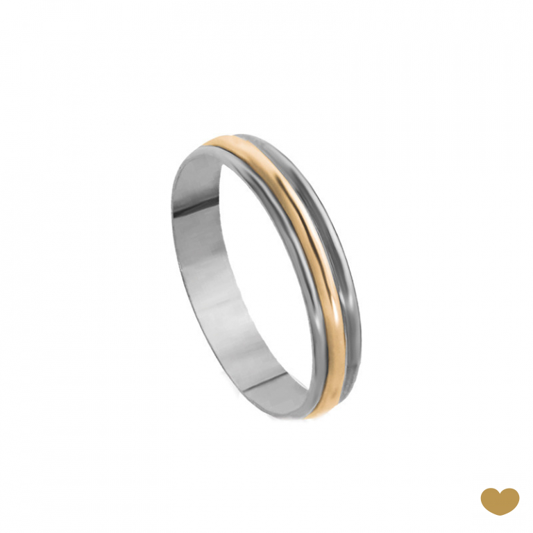 Aliança Passion Gold 19.2k - 4.5 mm