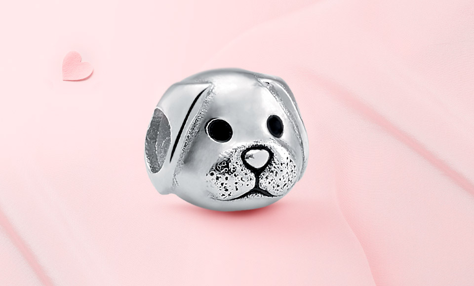 Contas Animais & Pets