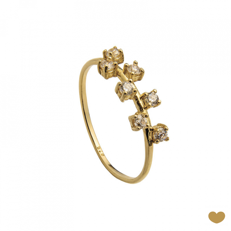 Anel Passion Gold 19.2k