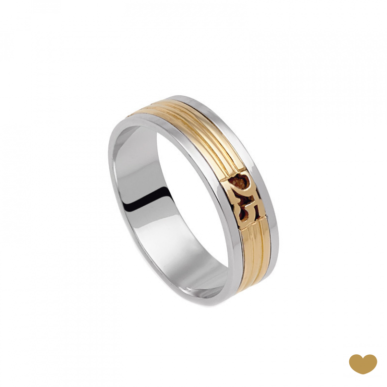 Aliança 25 Anos Passion Gold 9k