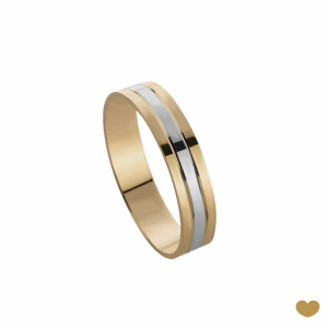 Aliança Passion Gold 19.2k - 5 mm 1