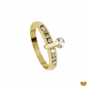 Anel Passion Gold 9k 1