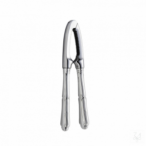 Nut-Cracker 1