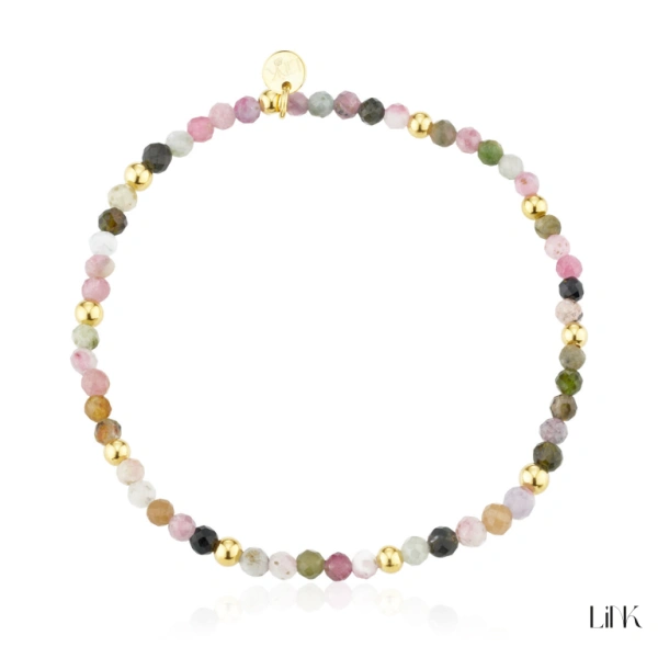 Pulseira Link 1