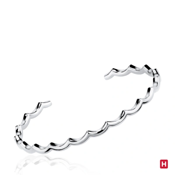 Bangle Hassu 1