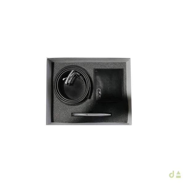 Set Pierre Cardin 2