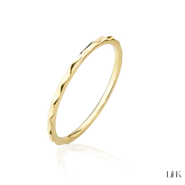 Anel Link 2