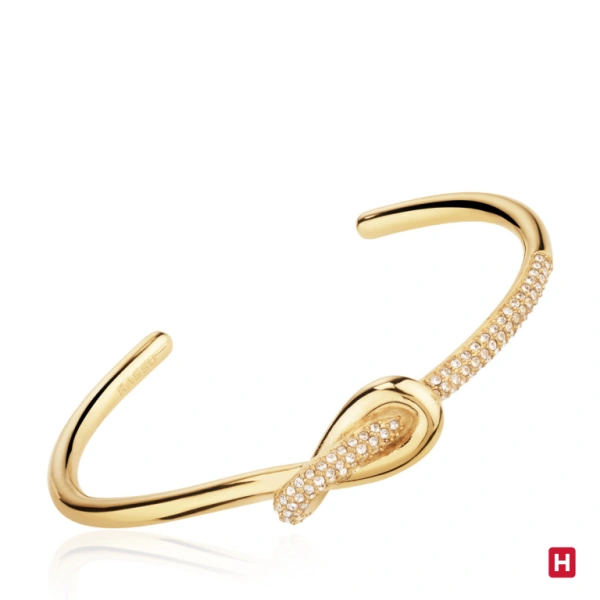 Bangle Hassu 1