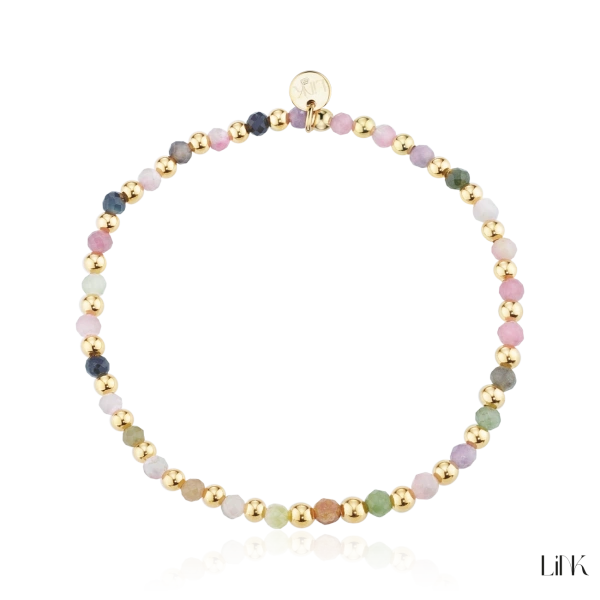 Pulseira Link 2