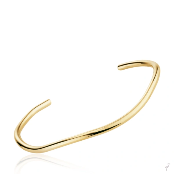 Bangle Hassu 1