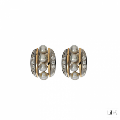 PENDIENTES PLATA925/ORO9K- 20 CIRCONITAS - HARMONIA 1