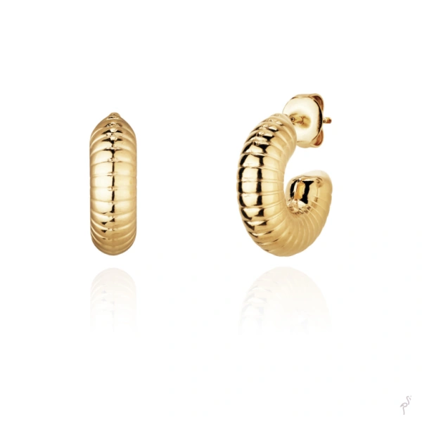 Earrings Hassu 1