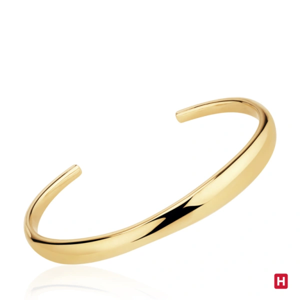 Bangle Hassu 1