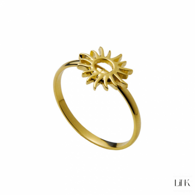 ANILLO LINK 1