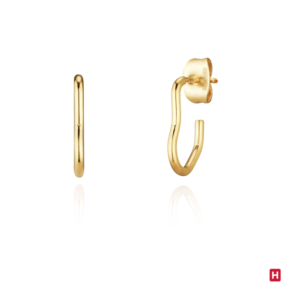 PENDIENTES HASSU 2