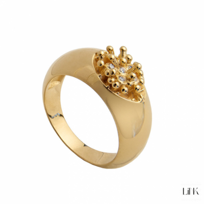 ANILLO LINK 1