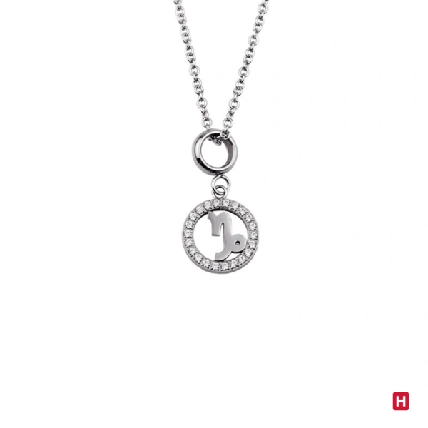 COLLAR ACERO "SIGNO CAPRICORNIO" 1