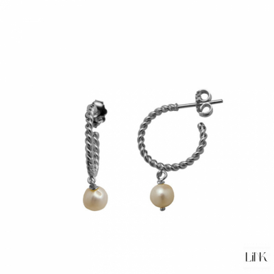 Hoops Earrings Link Trendy Style 1