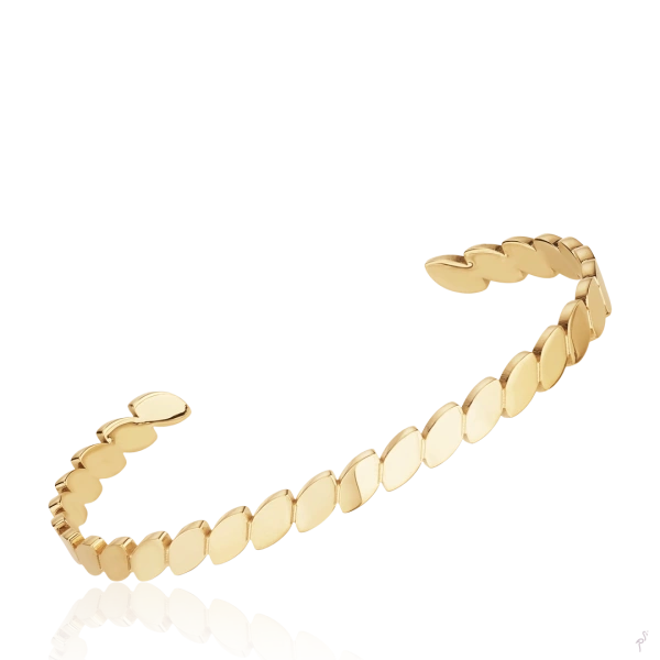 Bangle Hassu 2