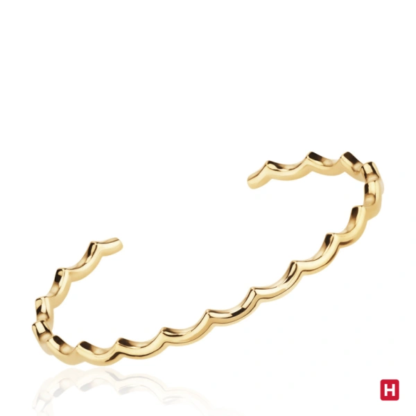 Bangle Hassu 1