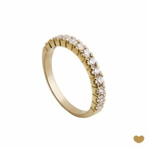 Anel Memória Passion Gold 9k 1