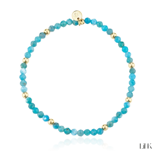 Pulseira Link 2