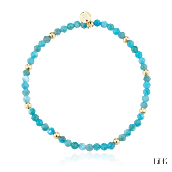 Pulseira Link 1