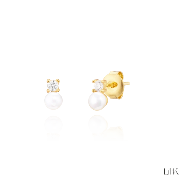 Earrings Link Golden 2
