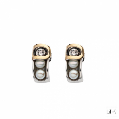 PENDIENTES PLATA925/ORO9K- 2 CIRCONITAS -1.4CM -  HARMONIA 1