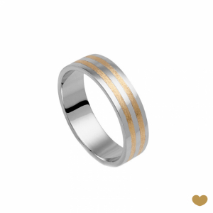 Aliança Passion Gold 9k - 5.3 mm 1