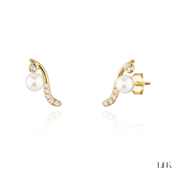 PENDIENTES LINK 1