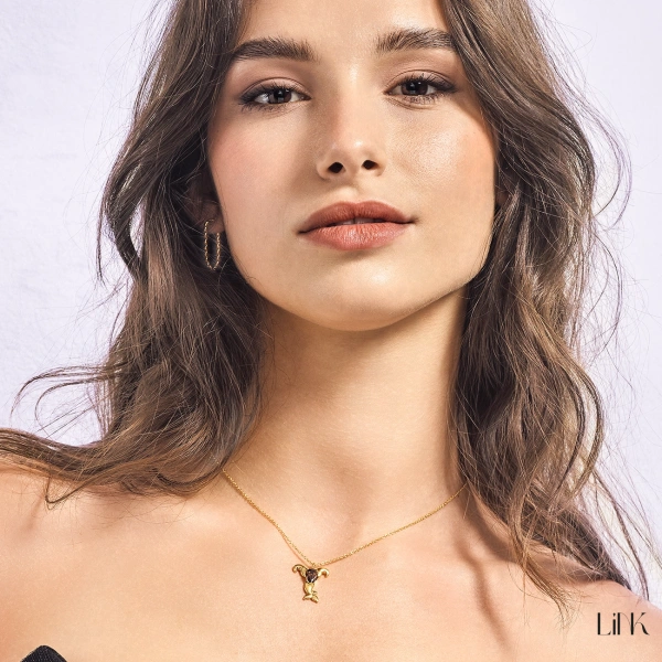 Necklace Link - Capricorn 4