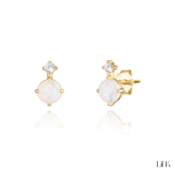 Earrings Link 1