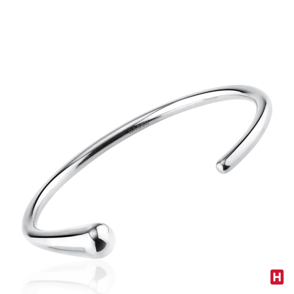 Bangle Hassu 2