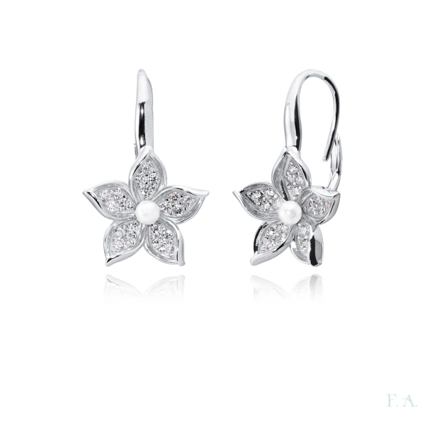 Hoops Earrings FA with Zirconias 2