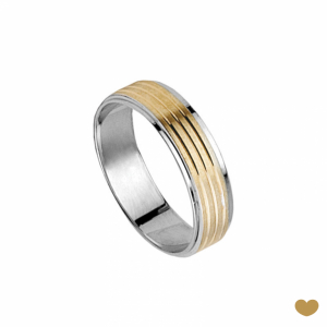 Aliança Passion Gold 19.2k - 6 mm 1
