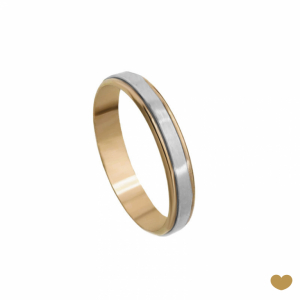 Aliança Passion Gold 9k - 4 mm 1