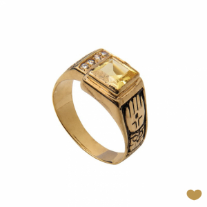 Anel de Curso Passion Gold 9k 1