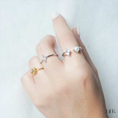 ANILLO LINK 2