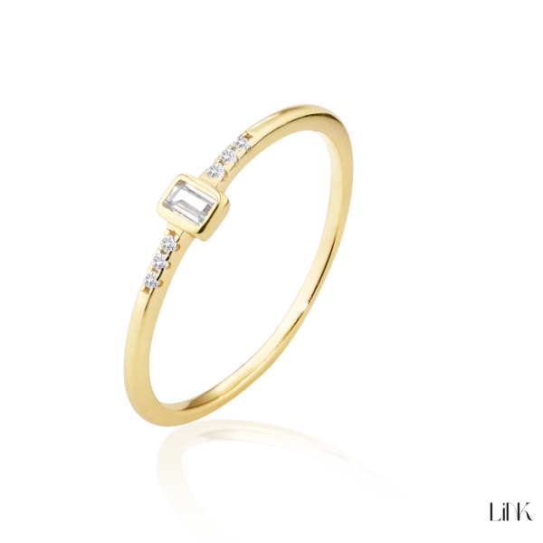 Anel Link 2