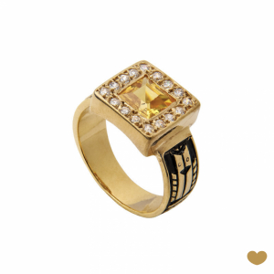 Anel de Curso Passion Gold 9k 1